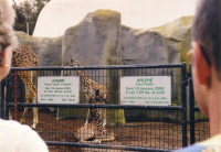 [20000212a_15.jpg]